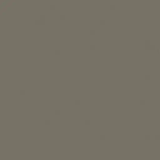 Fossile e1716814716738