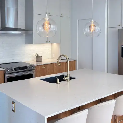 ARTICLE PROJET JOEL ST LAURENT